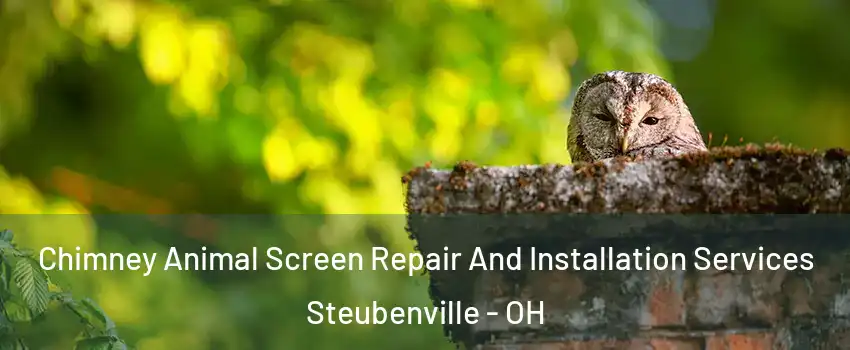  Chimney Animal Screen Repair And Installation Services Steubenville - OH