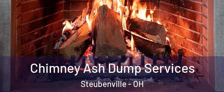  Chimney Ash Dump Services Steubenville - OH