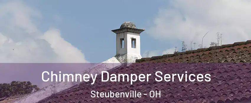  Chimney Damper Services Steubenville - OH