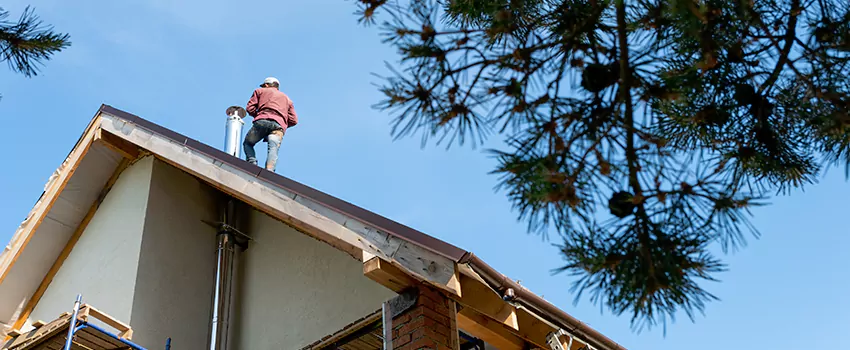 Birds Removal Contractors from Chimney in Steubenville, OH
