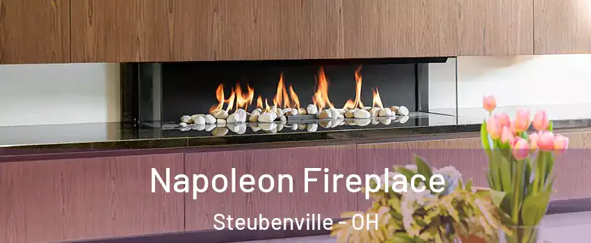  Napoleon Fireplace Steubenville - OH
