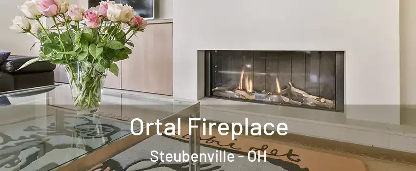  Ortal Fireplace Steubenville - OH